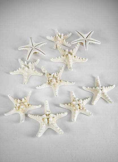 Knobby White Starfish, Set of 10 Decor Jamali Garden