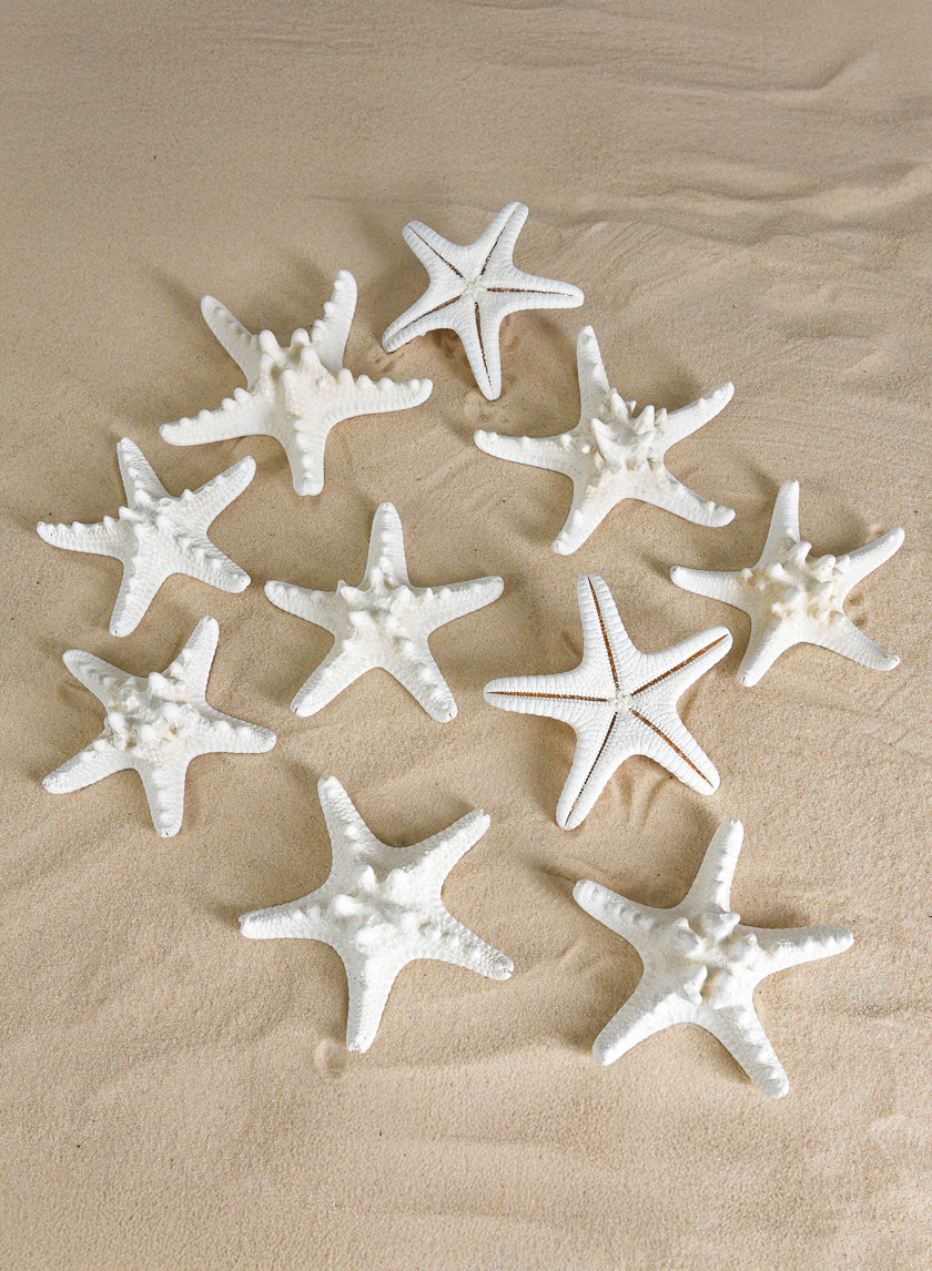 Knobby White Starfish, Set of 10 Decor Jamali Garden