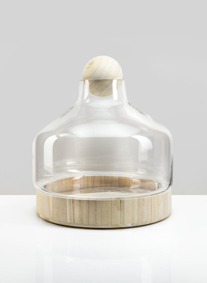 Copacabana Glass Terrarium Decor Jamali Garden
