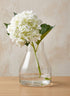 9.5in Tall Terrarium Glass Vase Decor Jamali Garden