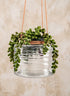 5in Tall Hanging Rippled Glass Vase Decor Jamali Garden