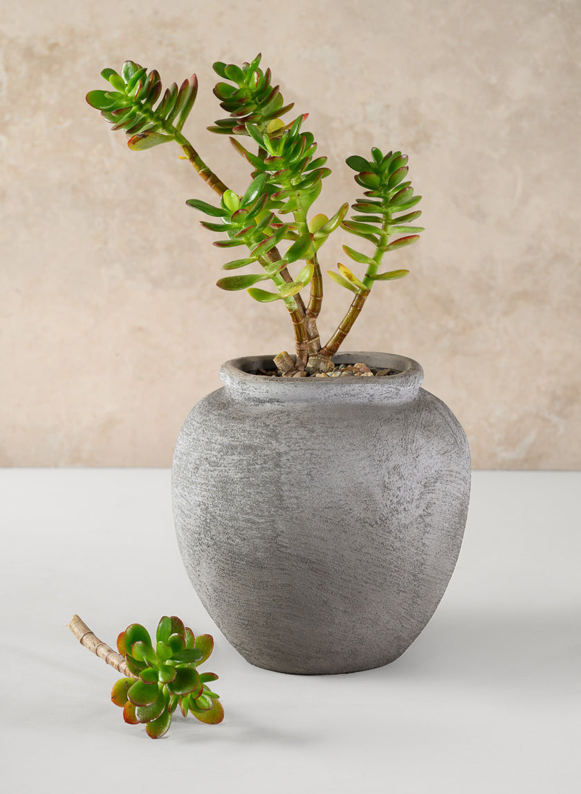 7in Tall Iquitos Venetian Grey Ceramic Jar Vase Decor Jamali Garden