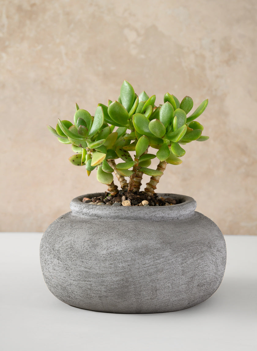 8in Wide Iquitos Venetian Grey Ceramic Bowl Decor Jamali Garden