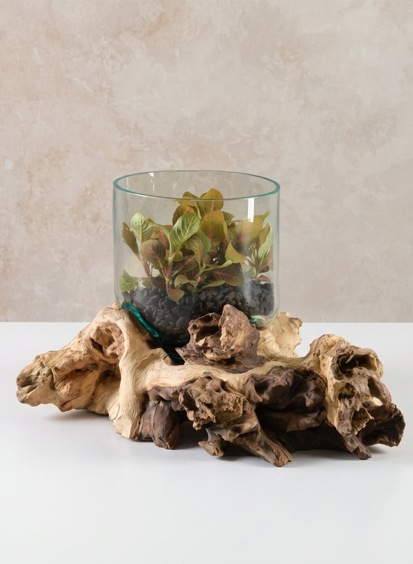 Jakarta Teak Stump With Glass Cylinder, Small