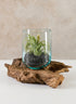 Jakarta Teak Stump With Glass Cylinder, Large Decor Jamali Garden