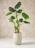 Tunisian Handmade Skyphos Pot Decor Jamali Garden