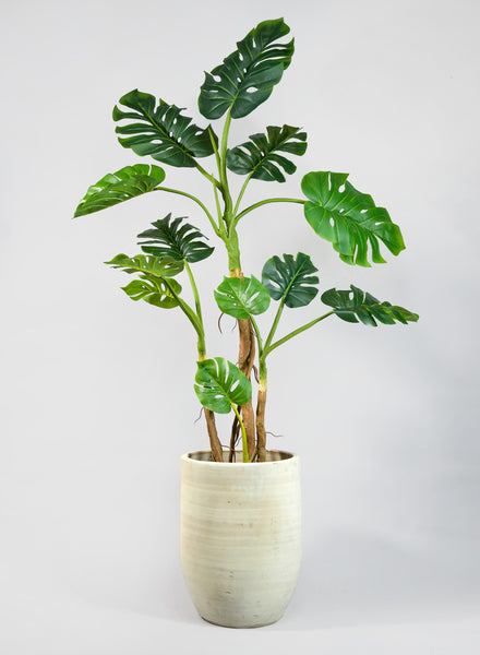 Tunisian Handmade Skyphos Pot – Jamali Garden