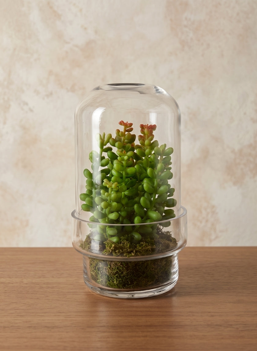 6.25in Tall Swazi Glass Terrarium, Small Decor Jamali Garden