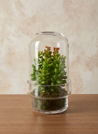 6.25in Tall Swazi Glass Terrarium, Small Decor Jamali Garden