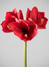 24in Long Real Touch Real Look Amaryllis Stem Holiday Red Decor Jamali Garden