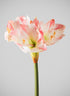 24in Long Real Touch Real Look Amaryllis Stem Blushing Pink Decor Jamali Garden