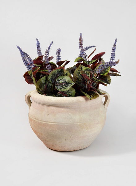 Tunisian Handmade Calyx Pot with 2 Handles – Jamali Garden