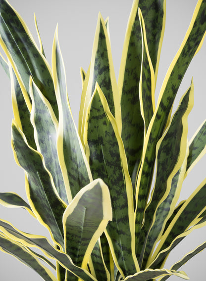 real snake plants near me 27in Tall Real Touch Real Look Snake Plant in Pot – Jamali Garden