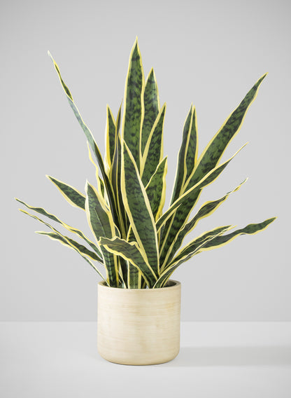 jobii snake plant 27in Tall Real Touch Real Look Snake Plant in Pot
