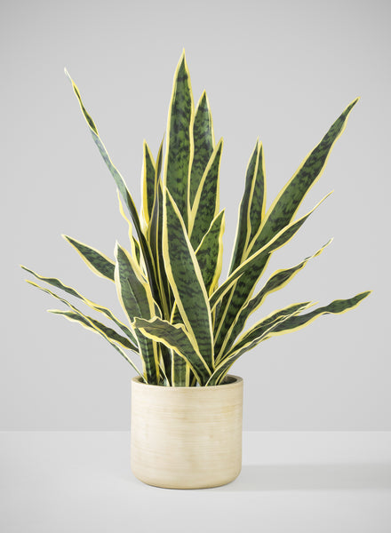 brass hammered flower pot snake plant 27in Tall Real Touch Real Look Snake Plant in Pot – Jamali Garden