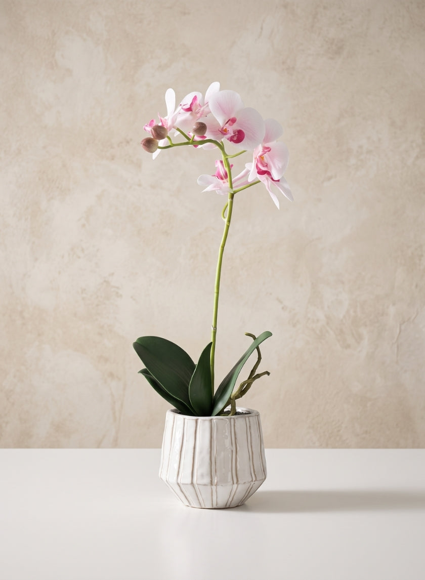 19in Tall Real Touch Blooming Orchid Phalaenopsis in Decorative Ceramic Pot