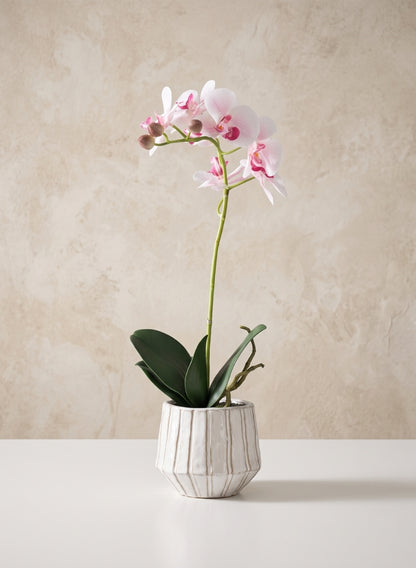 19in Tall Real Touch Blooming Orchid Phalaenopsis in Decorative Ceramic Pot Decor Jamali Garden