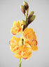 23in Long Real Touch Real Look Cymbidium Orchid Stem, Burnt Yellow, Case of 12 Decor Jamali Garden