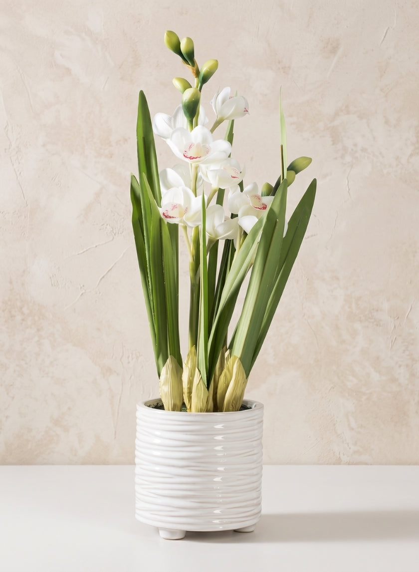 20.5in Tall Real Touch 2 Stem Cymbidium Orchid in Decorative Ceramic Pot