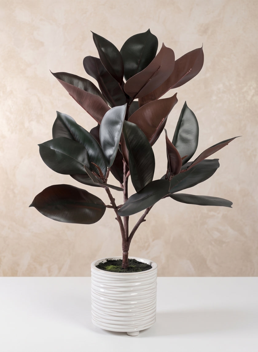 26in Tall Real Touch Real Look Rubber Tree in Ceramic Pot