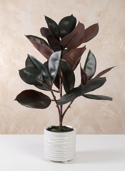 26in Tall Real Touch Real Look Rubber Tree in Ceramic Pot Decor Jamali Garden