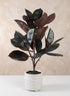 26in Tall Real Touch Real Look Rubber Tree in Ceramic Pot Decor Jamali Garden