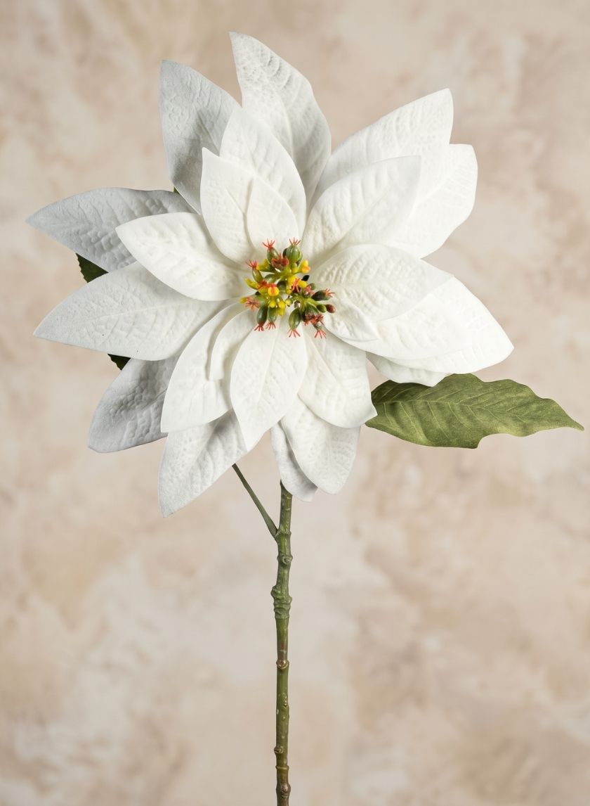29in Long Real Touch Real Look White Poinsettia Stem, Case of 12 Decor Jamali Garden