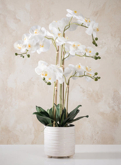 31in Tall Real Touch 5 Stem Blooming Orchid Phalaenopsis in Decorative Ceramic Pot