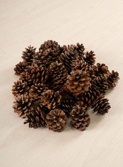 500G Small Natural Pinecones in Net Bag Decor Jamali Garden