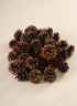500G Small Natural Pinecones in Net Bag Decor Jamali Garden