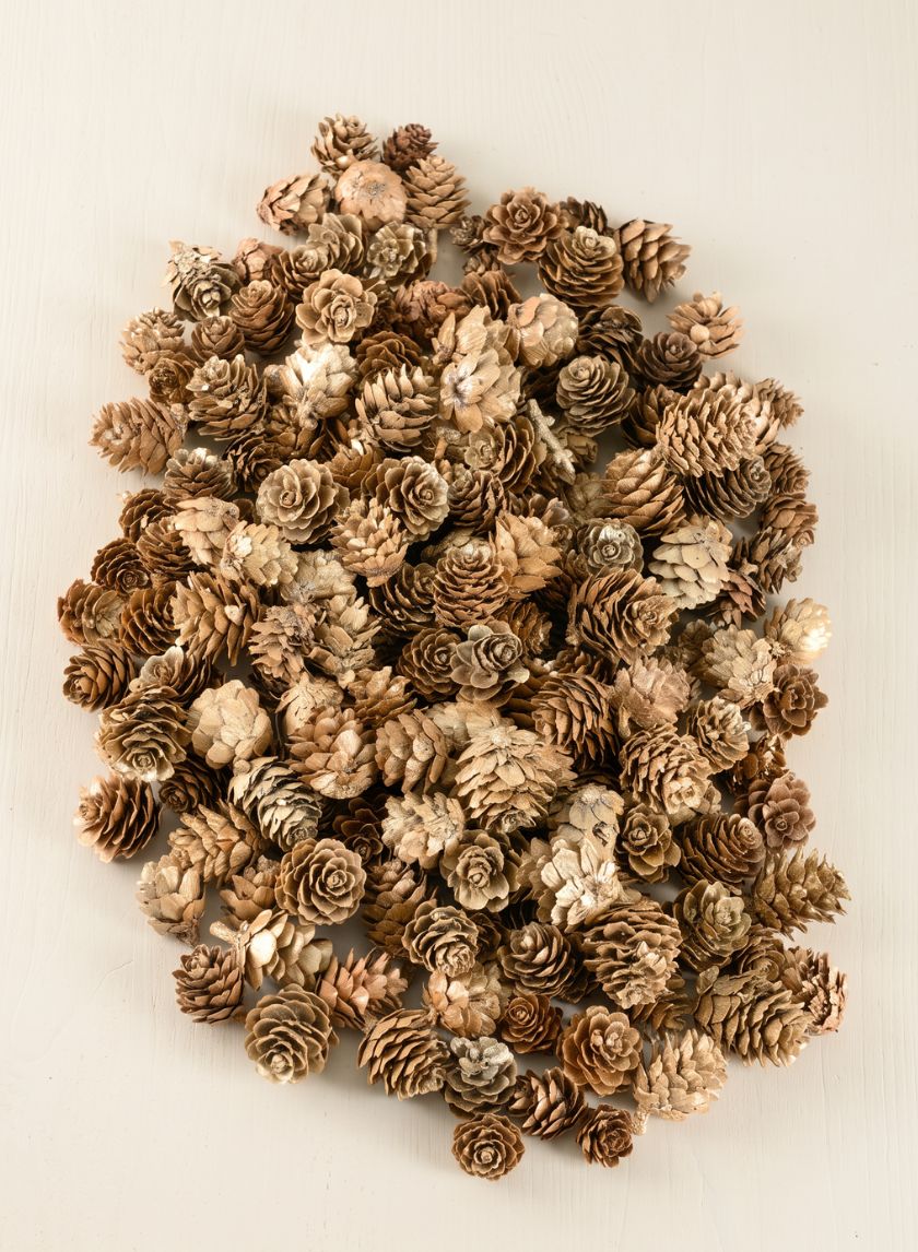 250G Champagne Mini Pinecones in Net Bag Decor Jamali Garden