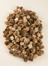 250G Champagne Mini Pinecones in Net Bag Decor Jamali Garden