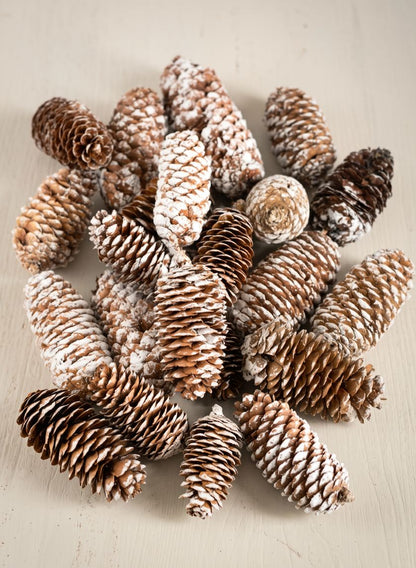 300G White Tip Long Pinecones in Net Bag Decor Jamali Garden