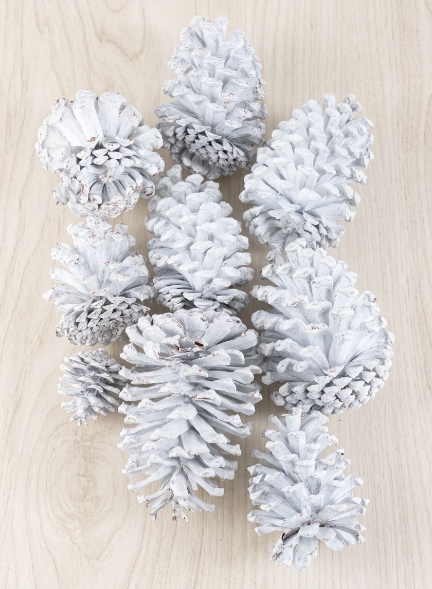 300G White Wash Pinecones In a Net Bag Decor Jamali Garden
