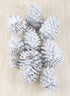 300G White Wash Pinecones In a Net Bag Decor Jamali Garden