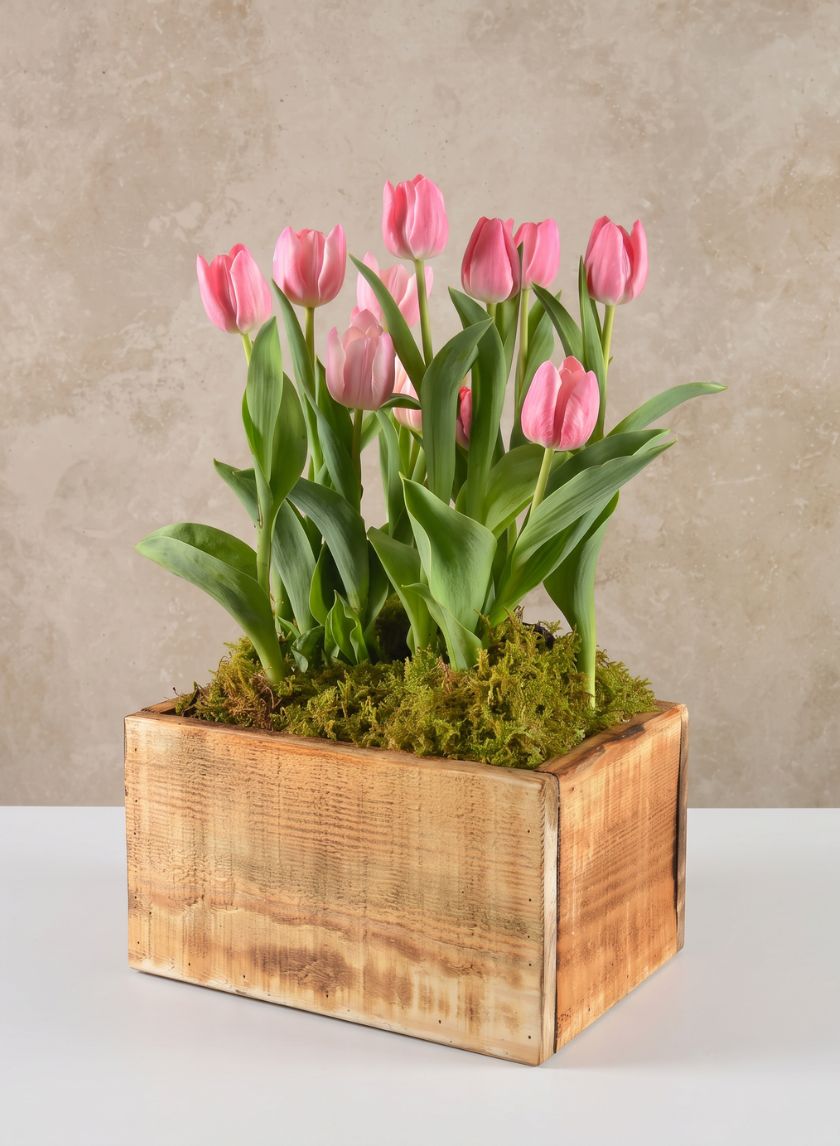 10in Long Raw Wood Deep Flower Box