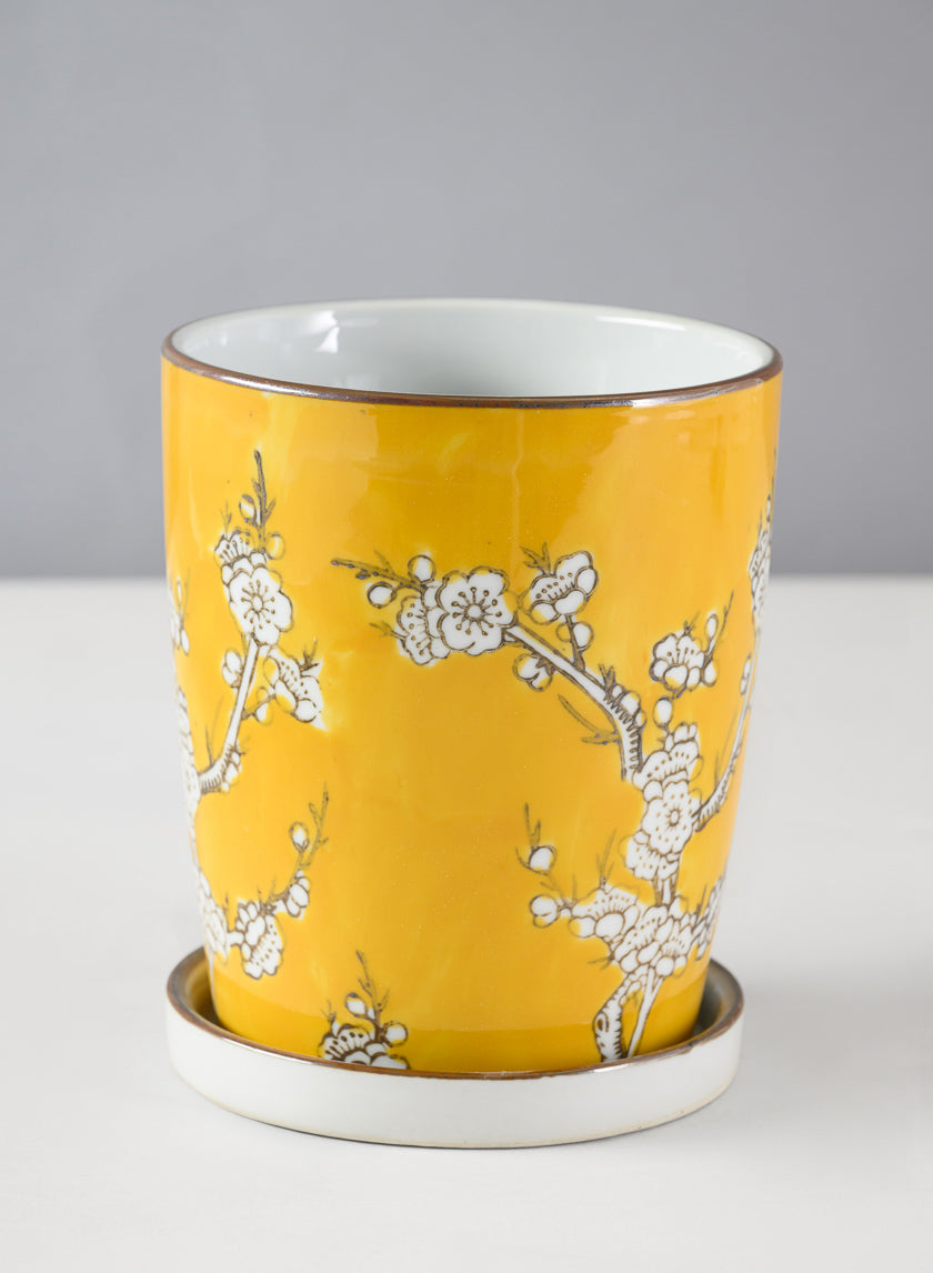6in Tall Ming Safron Ceramic Pot with Saucer Decor Jamali Garden