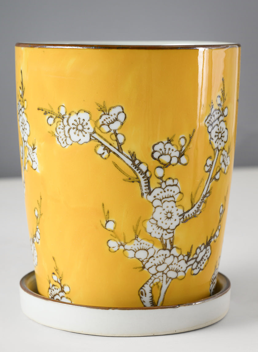 6in Tall Ming Safron Ceramic Pot with Saucer Decor Jamali Garden