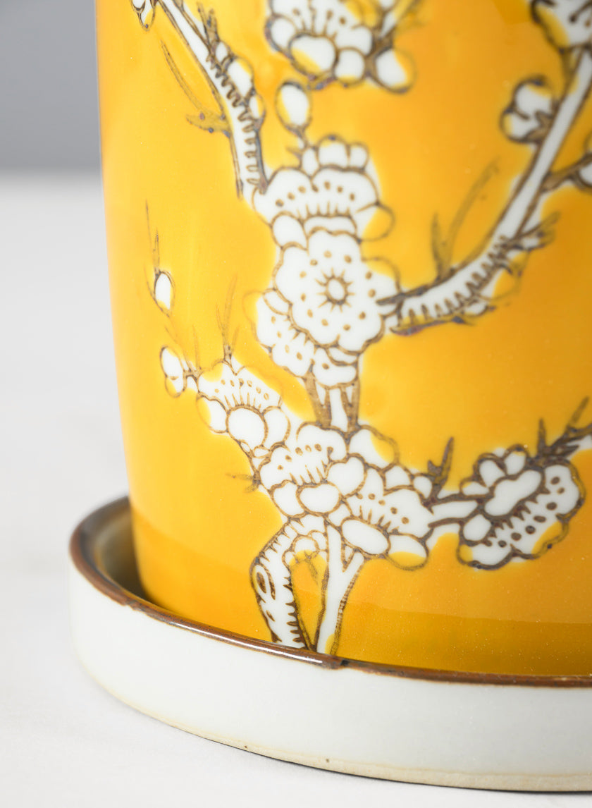 6in Tall Ming Safron Ceramic Pot with Saucer Decor Jamali Garden