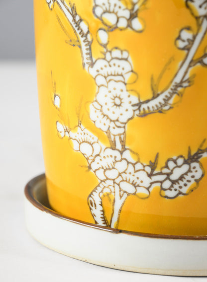 6in Tall Ming Safron Ceramic Pot with Saucer Decor Jamali Garden