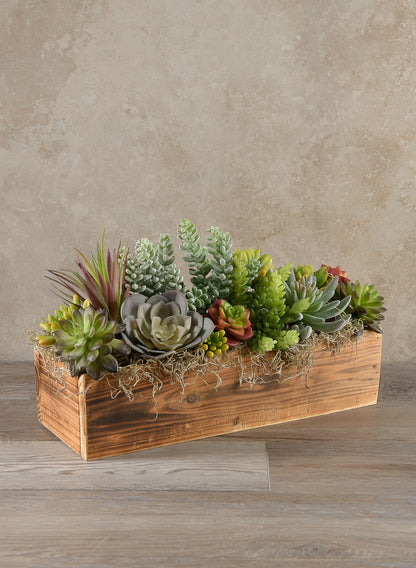 burnt succulent plants 15.75in Long Burnt Wood Flower Box – Jamali Garden