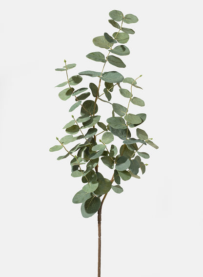 34in Long True Blue Eucalyptus, Case of 12 Decor Jamali Garden