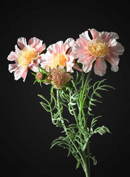 24in Long Scabiosa, Case of 12 Decor Jamali Garden