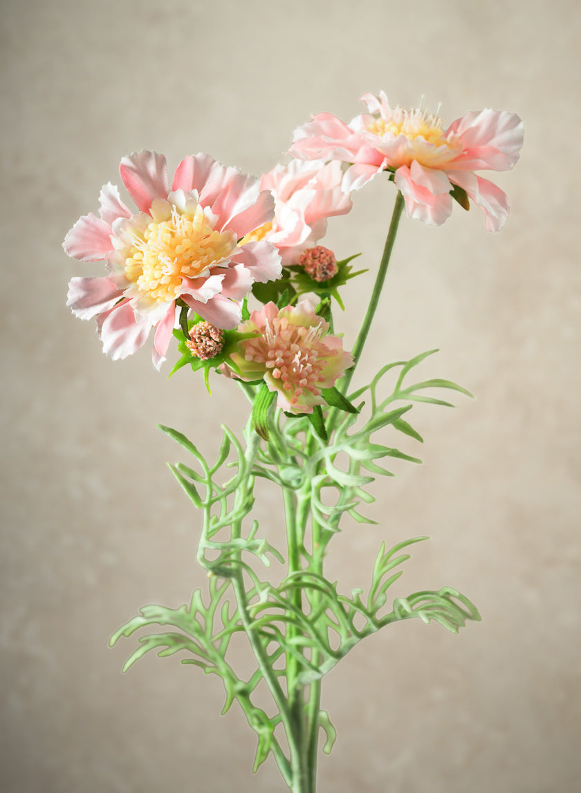 24in Long Scabiosa, Case of 12 Decor Jamali Garden