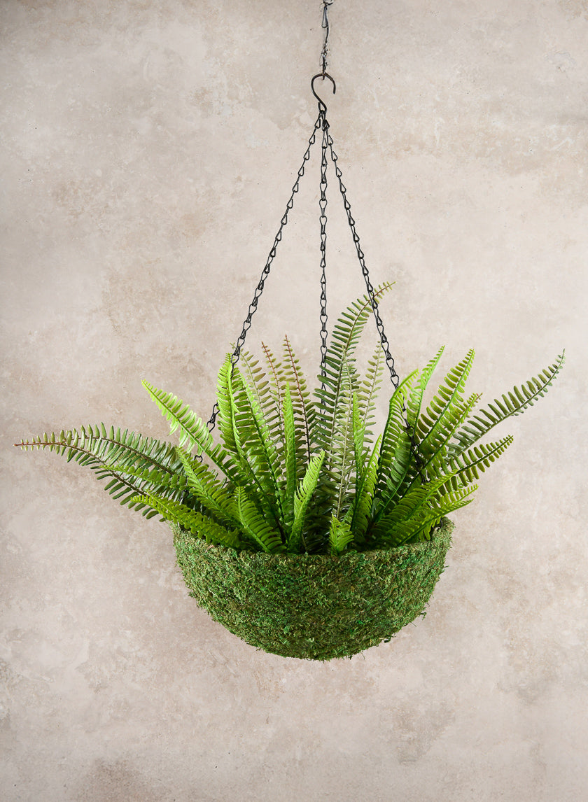 hanging planter moss 12in Wide Green Moss Basket – Jamali Garden