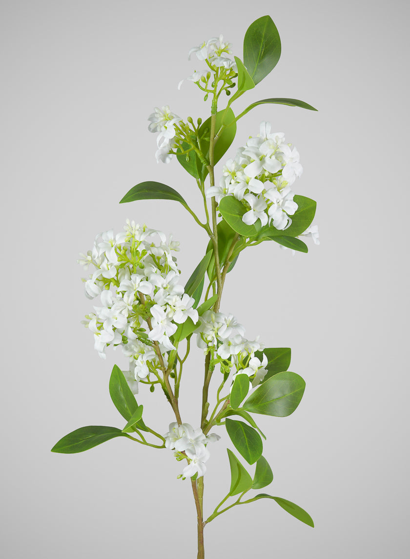 31in Long Jasmine Spray, Case of 12 Decor Jamali Garden