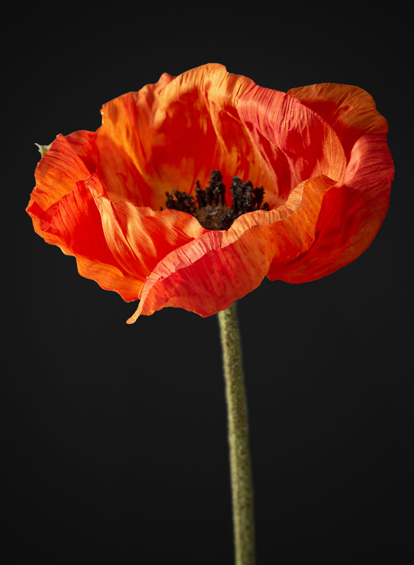27in Long Red Poppy Stem, Case of 12 Decor Jamali Garden