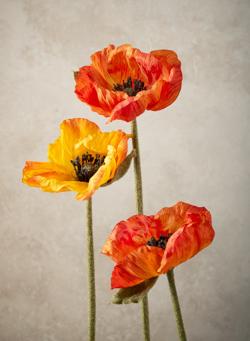 27in Long Red Poppy Stem, Case of 12 – Jamali Garden