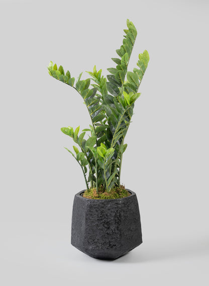 Kesari Aged Black Fiberglass Planter Decor Jamali Garden
