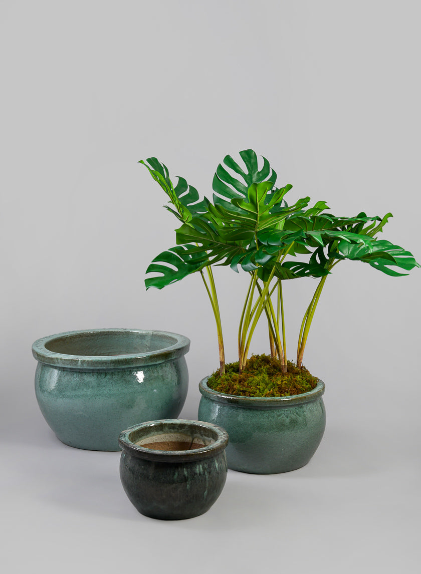 jade plant decor Low Bowl Clay & Ceramic Planter, Bali Jade – Jamali Garden